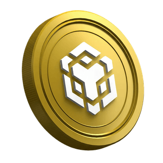 Criptoactivo BNB en la página de la guía para trader principiante